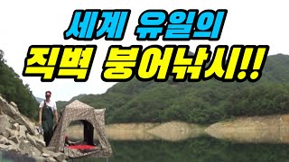 (SUB) 소양호 직벽 붕어낚시..!!  내림낚시 중층낚시  carp fishing へらぶな