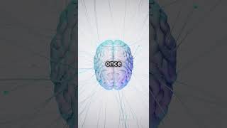 Deja Vu Brain Glitch Or Something Deeper