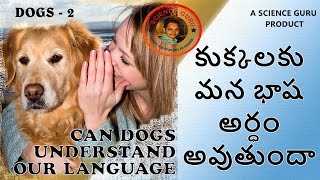 Can dogs understand our language|కుక్కలకి మన భాష అర్థం అవుతుందా|English Subs|Science Guru