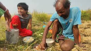 Indian Farmer Enjoys waterd Rice on the Field|ନାତୁଣୀ ସହ ବିଲରେ ବସି ପଖାଳ ଖାଇଲେ ବନା ଦାଦା| Farmer Life