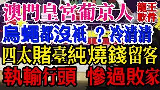 澳門皇宮葡京人酒店賭場 新場烏蠅都沒只？冷清清！四太賭台純燒錢留客 真是新年財神爺派利是 執輸行頭 慘過敗家！又贏錢又開心#賭場贏錢#澳門賭場#百家樂贏錢#澳門皇宮葡京人#龍王軟件