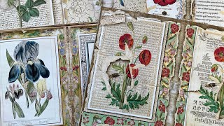 #roxysmedievalmiragemonday DTP | EP 21 Medieval Botanicals | New project Illuminated Botanicals