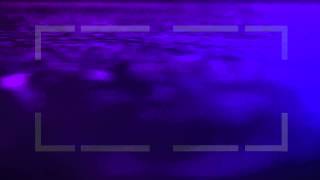 Motionbolt.com - Tracking