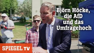Björn Höcke, die AfD und das Umfragehoch | SPIEGEL TV
