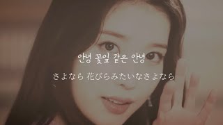 LILAC(라일락)/IU【日本語字幕】