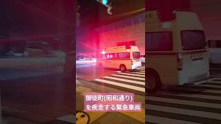 👮ヤバ👮衝突寸前 疾走する緊急車両😰 #救急車#昭和通り#緊急事態#ピーピー#御徒町#911