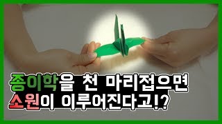 종이학을 천 마리 접으면 소원을 이루어준다고!?