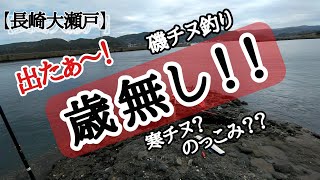 【磯チヌ釣り】寒チヌ？のっこみ？出たぁ～歳無し！２月に本気でチヌ釣りやるぜ！デカいチヌを狙って釣れれば、楽しいに決まってる！