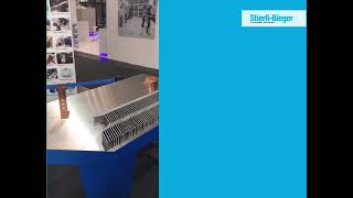 Boschert and Stierli Robotic Bus Bar punching, cutting and bending