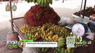 กล้วยแพงที่สุดใน 50 ปี | 02-08-59 | เช้าข่าวชัดโซเชียล | ThairathTV