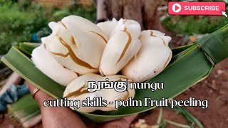 நுங்கு |  Nungu | Palm Fruit Peeling | Nungu Cutting Skills | Ice Apple.