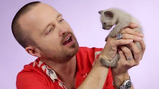 Aaron Paul Plays With Kittens While Answering Fan Questions
