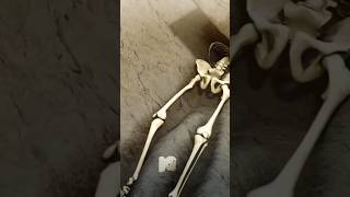 Sad Story Of This Pompeii Skeleton|😮😮|#shorts