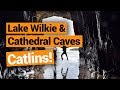 🗺️ Catlins Trip: Lake Wilkie & Cathedral Caves –  New Zealand's Biggest Gap Year