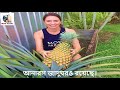 দেখুন বিশ্বের বৃহত্তম ‘আনারস ভবন’ ।। visit the world s largest pineapple building