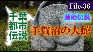 手賀沼の大蛇=千葉都市伝説File36=