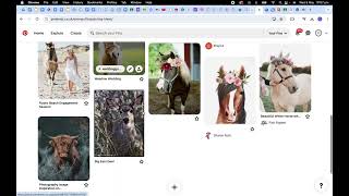 Example Screen Capture 1