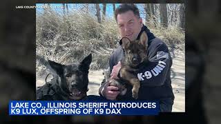 Meet K9 Lux! Lake Co. Sheriff's Office newest police canine