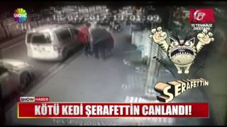 Kötü kedi Şerafettin canlandı !