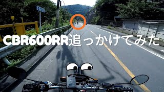 【CBR600RR VS WR250X】ミドルSS頑張って追いかけてみた