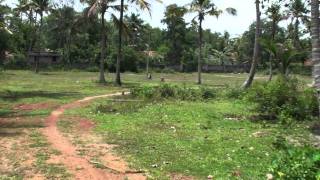 5.25 acres Property @ Mathilakam - 50 meters from NH47, Chertalla, Kerala, India