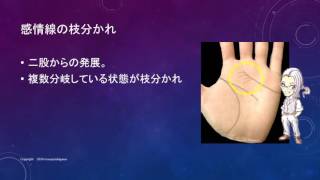 感情線が枝分かれ？二股？一体どんな意味があるの？