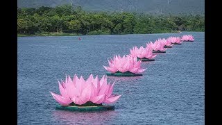 Đại lễ Phật đản Vesak 2019 (Huế): Hạ thủy 7 hoa sen trên sông Hương