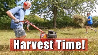 How To Harvest a Species Rich Hay Meadow - Part Two