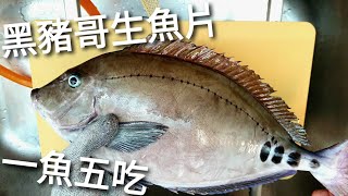 黑豬哥生魚片，肉質緊彈富含油脂的好魚。在礁溪吃早午餐在去石城漁港定置漁場。Scalpel sawtail Sashimi.