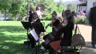String Trio Los Angeles Classical Wedding Musicians for Events