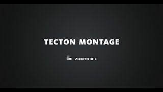 TECTON Lichtbandsystem – Montage/Mounting