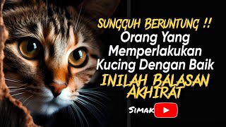 SUNGGUH BERUNTUNG, ORANG YANG MEMPERLAKUKAN KUCING DENGAN BAIK, INILAH BALASAN DI AKHIRAT KELAK