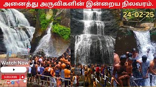 அனைத்து அருவிகளின் இன்றைய நிலவரம்..✅🍃🏞 |Old Courtallam | Kutrallam |Courtallam News | Kutrallam News