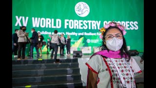 Tree Talk with Jessica Vega Ortega - XV World Forestry Congress