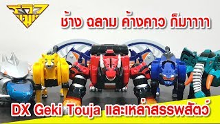 รีวิว หุ่นยนต์เกคิเรนเจอร์ และเหล่าสรรพสัตว์ DX Geki Touja Geki Ranger [ รีวิวแมน Review-man ]