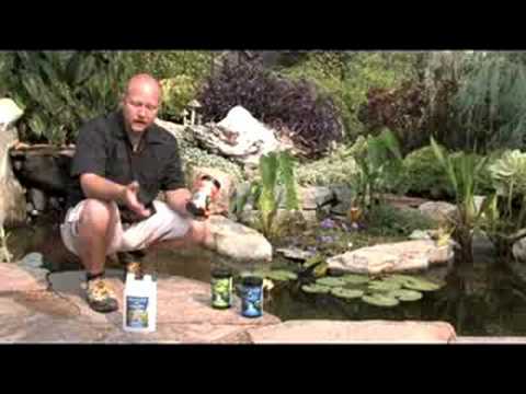 Pond Maintenance Pond Maintenance