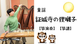 【童謡】証誠寺の狸囃子(野口雨情 作詞・中山晋平 作曲)【箏演奏】