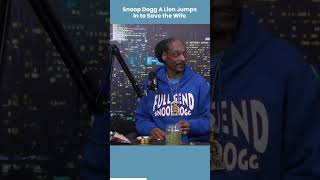 snoop dogg a lion jumps in to save the wife