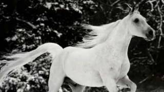 Enigma - Return To Innocence