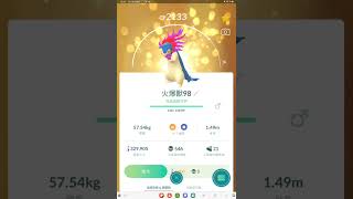 Pokémon GO TourTimeless travel legends raid day團戰日色違火爆獸洗翠的樣子shiny lucky Hisuian Typhlosion98iv🥳✌️😎👏