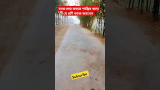 বাবা-মার কবরে শান্তির জন্য যে ৪টি কাজ করবেন। #ইস্তেগফার #ইসলামিক_ভিডিও #বাবা_মা #দোয়া