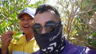 WE FOUND A NEW FISHING SPOT w/ FAIZUL  |  PORT HEDLAND