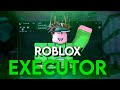 *FREE* Roblox Executor | *BEST* KEYLESS EXPLOIT and Byfron Bypass | *Solara* [AUG 2024 UPDATED]