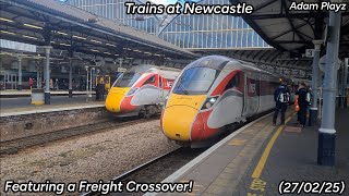 Trains at Newcastle featuring a Freight Crossover! (27/02/25)