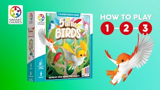 How To Play 5 Little Birds - SmartGames