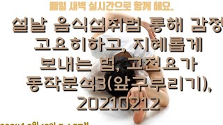 설날 음식섭취법통해 감정 고요히 하고,지혜롭게 시간보내기, 고전요가동작분석정리(앞구부리기),20210212