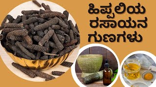 ಹಿಪ್ಪಲಿಯ ರಸಾಯನ ಗುಣಗಳು | Kitchen Secrets #ayushtv #longpepper #pepper #kitchensecrets