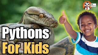 All About Pythons: Amazing Snake Facts for Kids! 🐍