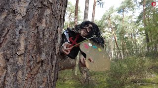 'UN PASEO POR SORIA': EL BOSQUE MÁGICO, EN SAN LEONARDO DE YAGÜE