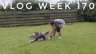 VLOG WEEK 170 - DOG TRAINING \u0026 A HAIRCUT | JAMIE GENEVIEVE